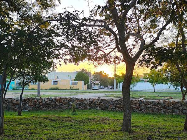 place photo 16