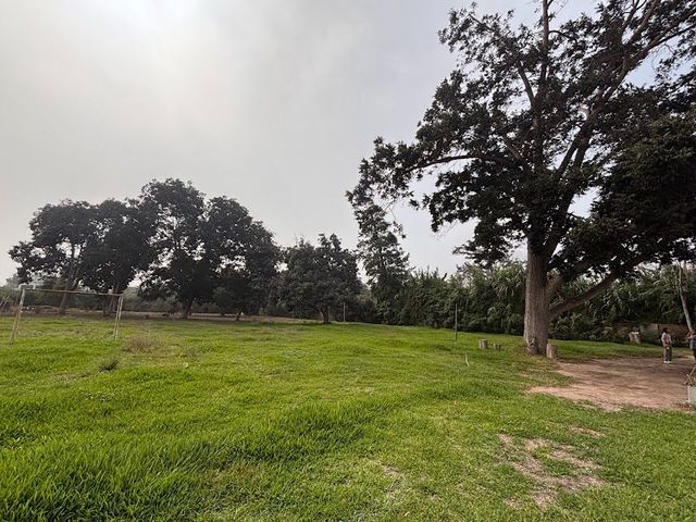 place photo 24
