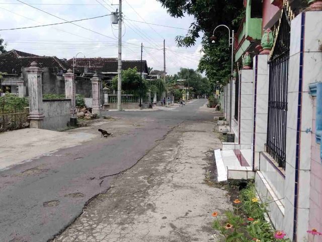 place photo 9