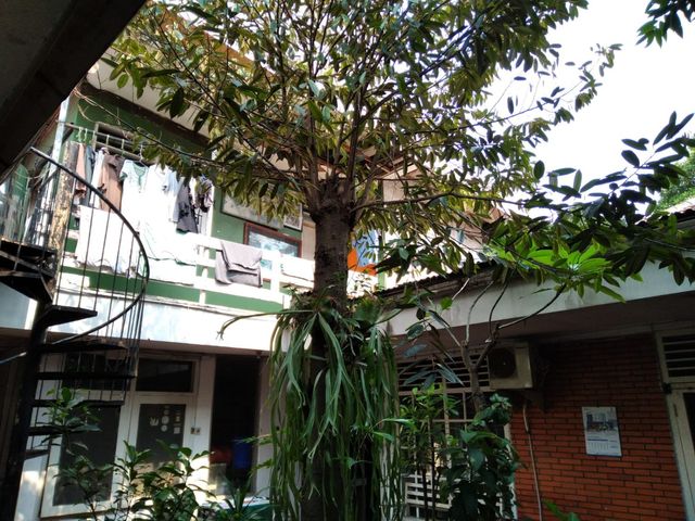 place photo 10