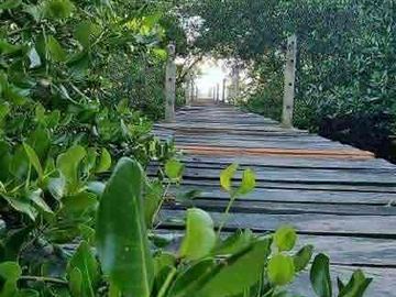 place photo 34
