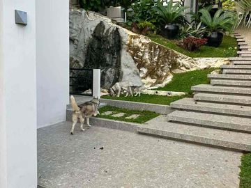 place photo 44