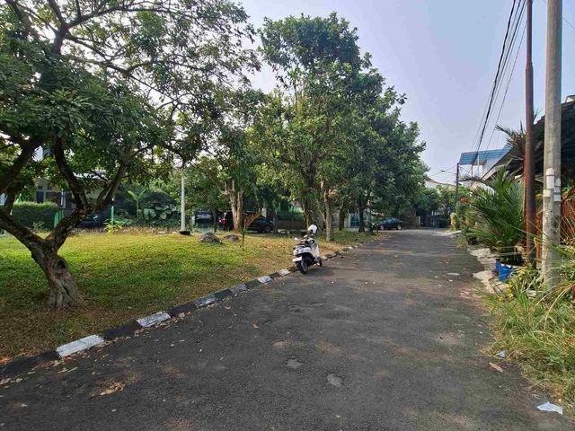 place photo 12