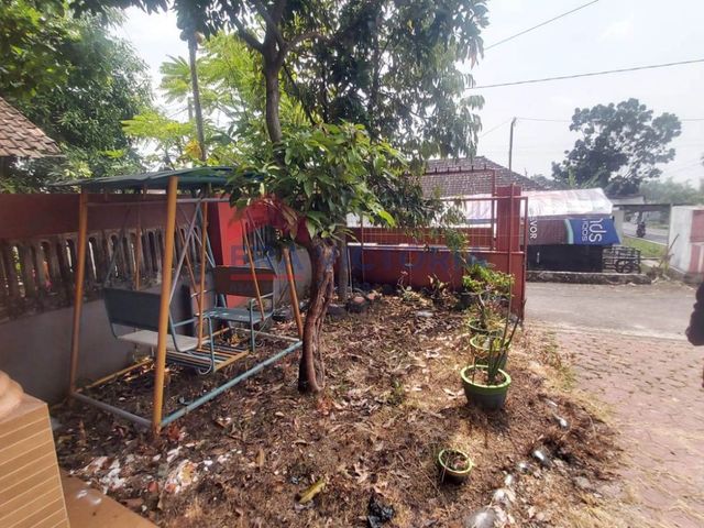 place photo 31