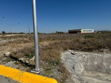 place photo 24