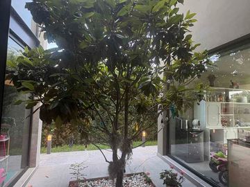 place photo 44