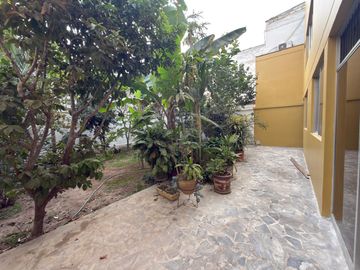 place photo 28