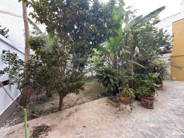 place photo 33