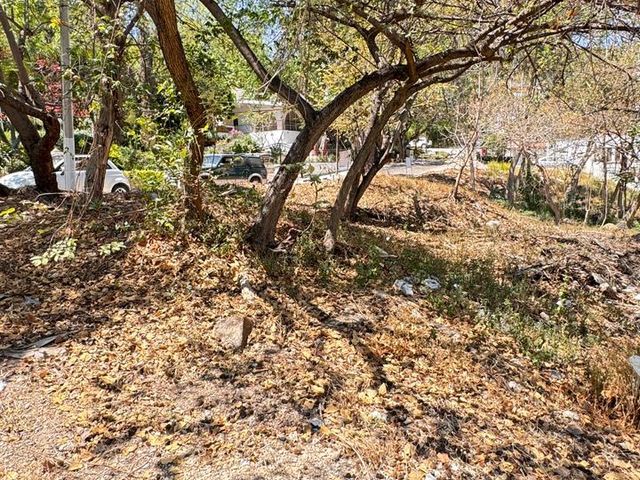 place photo 13
