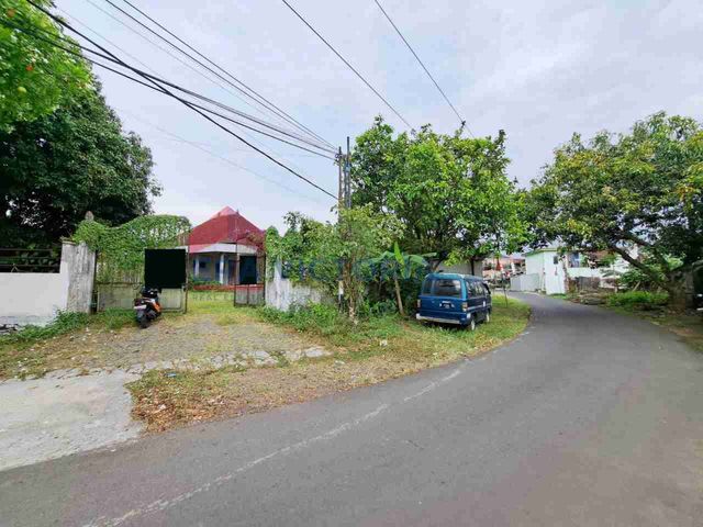 place photo 22