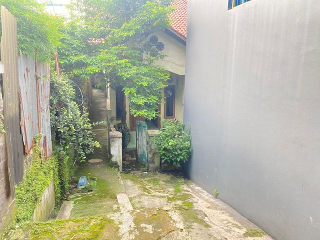 place photo 30