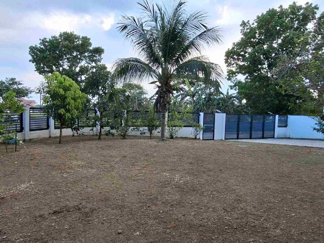place photo 22