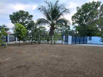 place photo 22