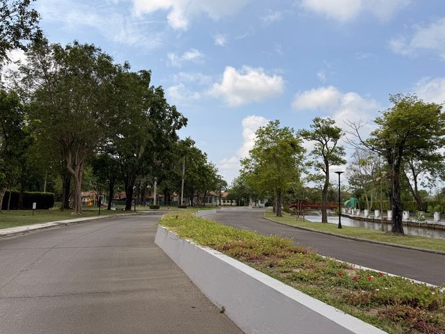 place photo 40
