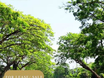 5 BEDROOM FOR SALE / LEASE IN AYALA ALABANG VILLAGE