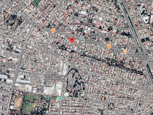 place photo 7