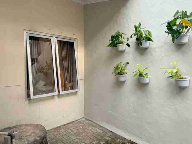 place photo 38