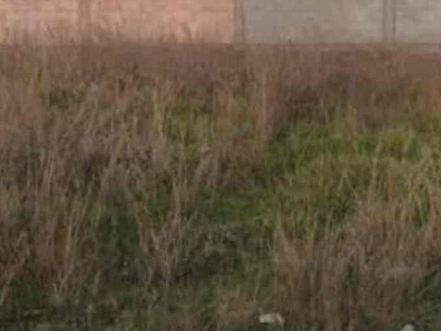 VENTA TERRENO