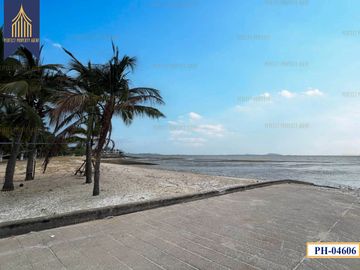 place photo 50