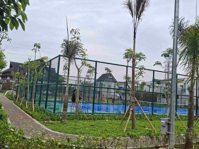 place photo 20