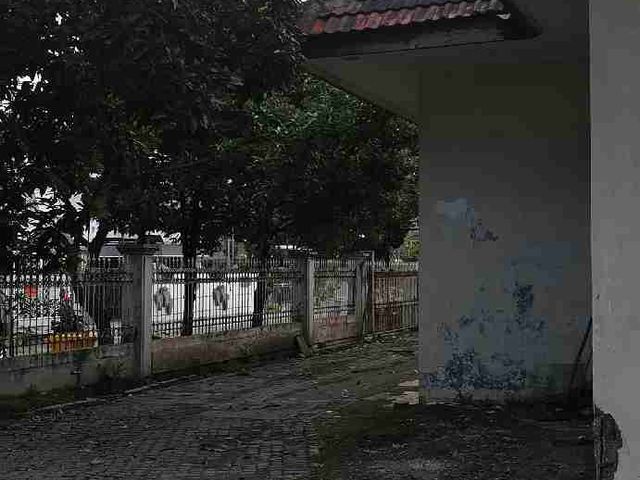 place photo 18