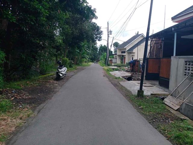 place photo 5
