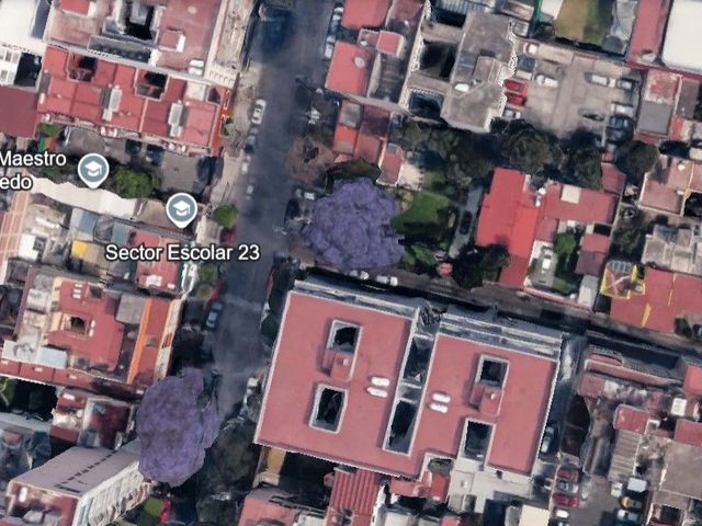 place photo 17