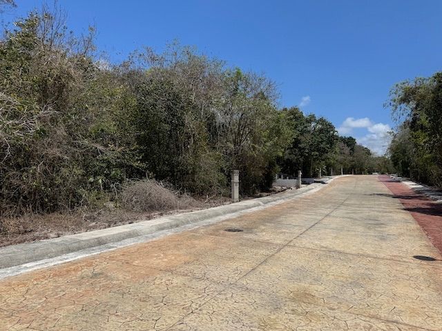 place photo 19