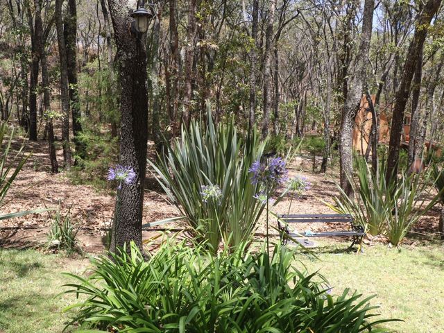 place photo 58
