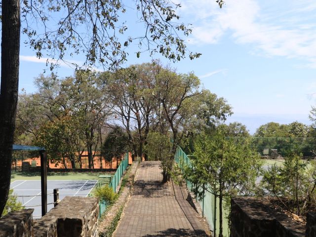 place photo 62