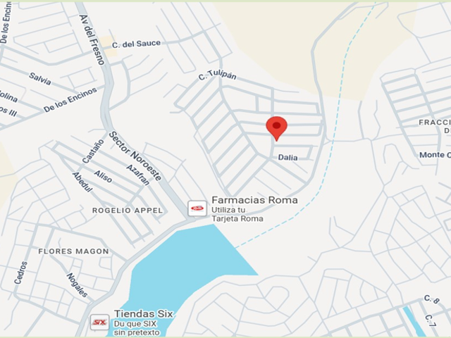 place photo 8