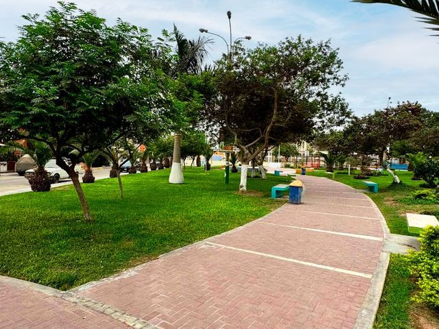 place photo 16