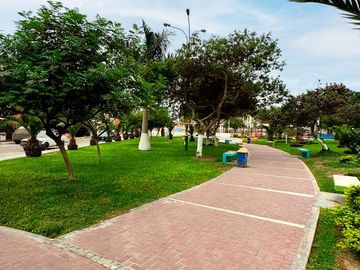 place photo 16