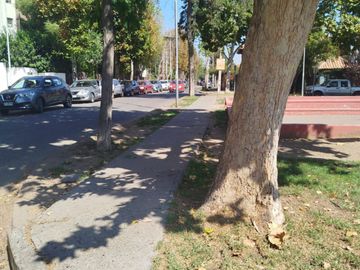 place photo 48