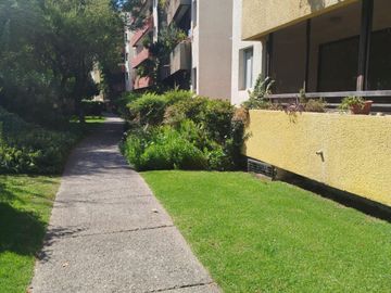 place photo 40