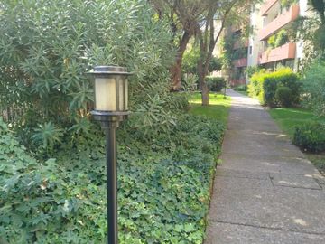place photo 46