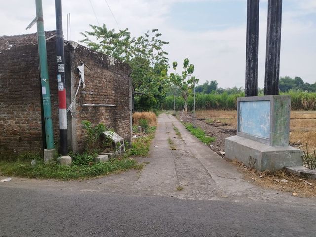 place photo 5