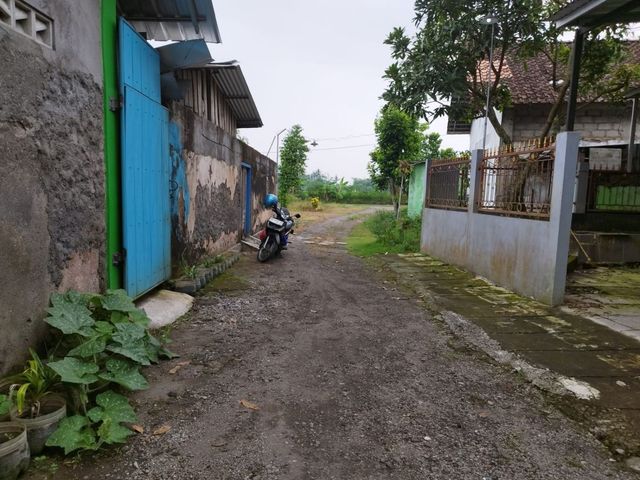 place photo 11