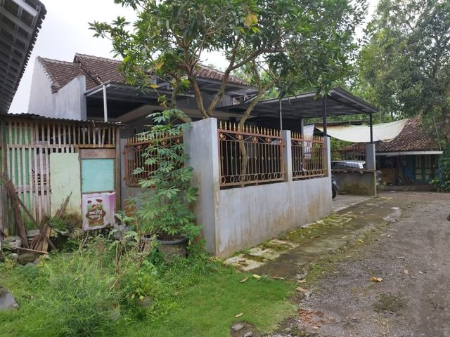 place photo 13