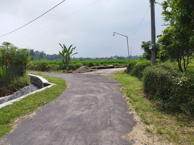 place photo 14