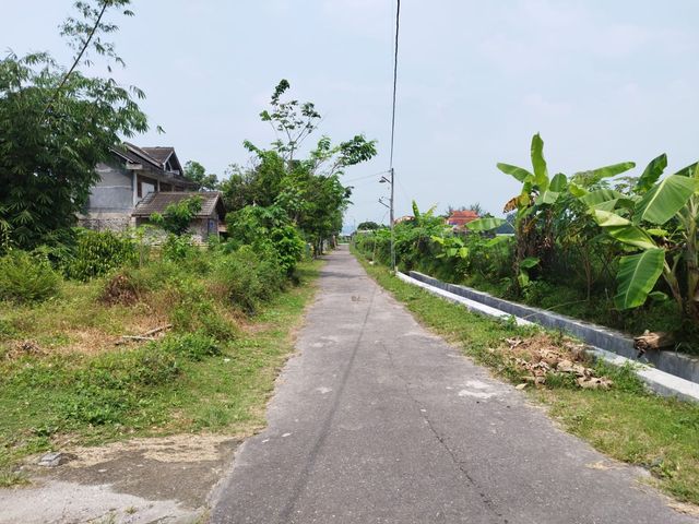 place photo 15