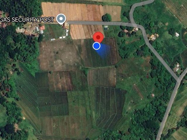 place photo 13