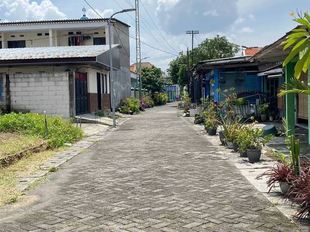 place photo 15