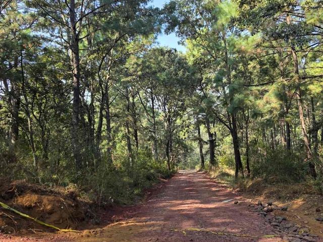 Venta de terreno Plano en Mazamitla coto la Toscana