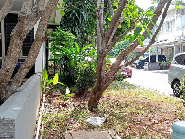 place photo 27