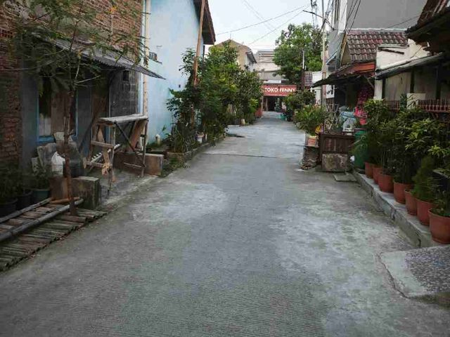place photo 11