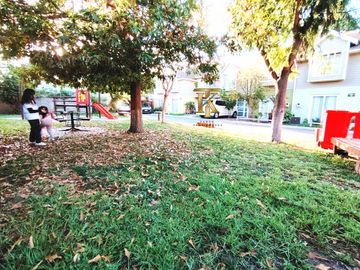 place photo 45
