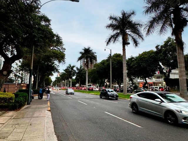 place photo 35