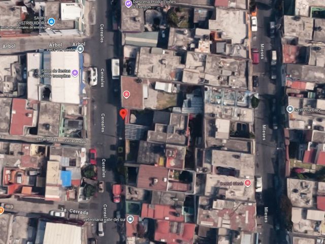 place photo 11