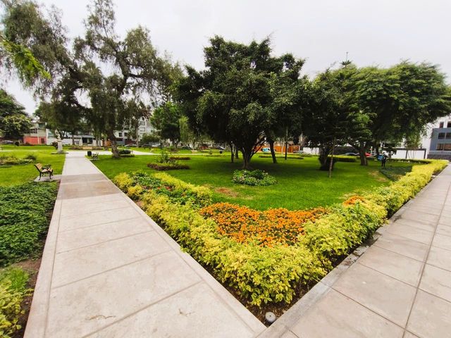 place photo 12